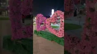 Miracle Garden Al Wathba | Sheikh Zayed Festival | SZF Al Wathba | Samia's Vlogs | #Shorts