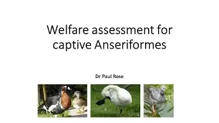 Welfare assessment for captive Anseriformes (ducks, geese, swans and screamers)