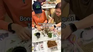 Basic Bonsai Workshop at Tampines Hub.