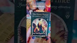 #energy #messages #quick #tarot #readings #focus #learn with BDevine&reg;️