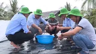 TOM CA MAU KET TINH TU RUNG VANG BIEN BAC