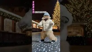 TOP 5 CHRISTMAS PHONK / FUNG SONGS #funk #phonk #shorts #music #cat #funnycat #phonkmusic #newyear
