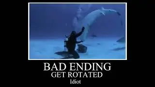 Get Rotated Idiot | All Endings