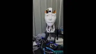 Inmoov Robot eyes