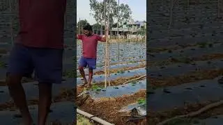 Earth auggers- for agriculture starting-10800-Nexgen farming machiners 8712137637