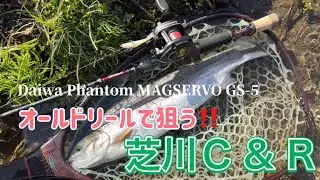 オールドリール Daiwa Phantom MAGSERVO GS-5で狙う‼️芝川C & R