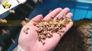 TSE78 frk fortified nutrition rice extruder machine making dog food