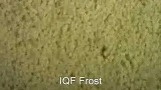 Mozarella, diced - freezing in Octofrost from IQF Frost