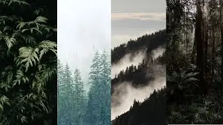 How To Split Instagram Photos In A Bit Over 60 Seconds!