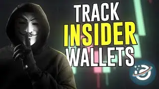 The NEW Best Platform for Tracking Insider Wallets (CIELO TERMINAL)