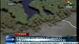 British Petroleum oil spill in 2010, the largest in recent history