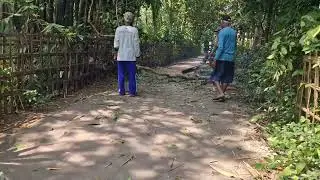 SUPER FAST WORKER SKILL CUTTING MAHOGANY BRANCHES WITH A MODERN SAW MACHINE!-Agriculture Farming