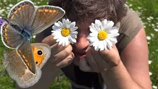 Veur-Lent: City Island near Nijmegen exploration & butterfly hunt: Bart Coppens in NatureVlogs