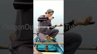 Catching Rusty Jobfish Using Traditional Handline Fishing Technique #fishing #fishingtechniques