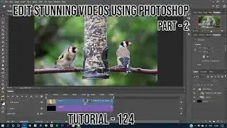 Adobe Photoshop-Tutorial 124(Combine videos and Create Transitions)🔥🔥🔥