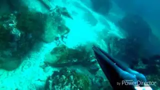 Pesca primaveral a poca profundidad en Cantabria