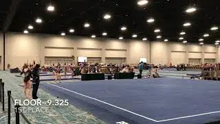 2020 Magical Classic~Erica Alex Gregory L10~Southeastern Gymnastics