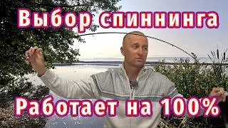 Какой спиннинг выбрать! Это работает по рыбе на 100%