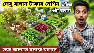১ বিঘা জমিতে ৬ লাইন আয় | লেবু + আদা + শাক + মুরগি + মৌচাক | Smart Krishi Model