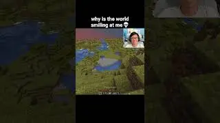 Minecraft Smile Moment