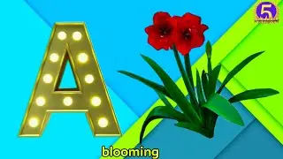 The Alphabet Flowers Song | Learn ABCs with Beautiful Blooms | 5 Stars Kids Learning|nursery rhymes|
