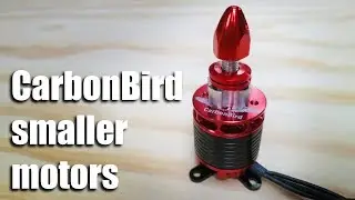 Carbon Bird smaller motors