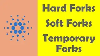 Hard Forks, Soft Forks and Temporary Forks explained in 2 minutes