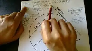 Circles- Basics
