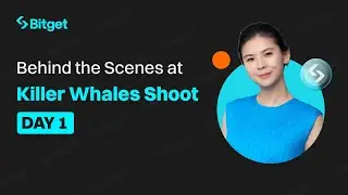 Killer Whales Behind the Scenes with Bitget CEO Gracy Chen - Day 1