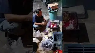 ACARA BAKAR IKAN #dedi #mytripmyadventure #bakarayam #jelajah #shorts #viral