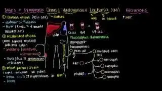 What is chronic myelogenous leukemia?