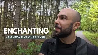 Solo Forest Nature Walk & Hike in 4k - Parc National de la Yamaska - Quebec Canada