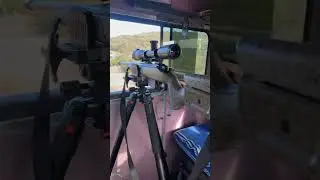 Texas wild hunt full of exotics and more