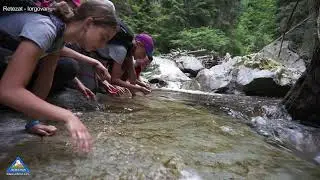 Adeona Camps