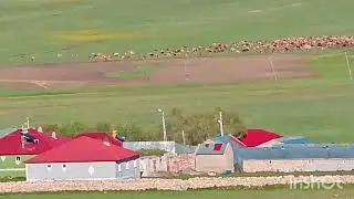 Çavuşa Rengin 14