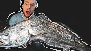 Melbourne's Biggest Mulloway Got Away