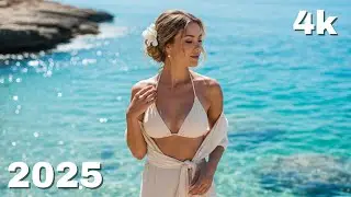 🌴 Coastal Wave 2025 🎵 Atmosphere 4K | Oceania Beats Music