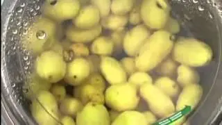 Eplucheuse à pomme de terre professionnel.