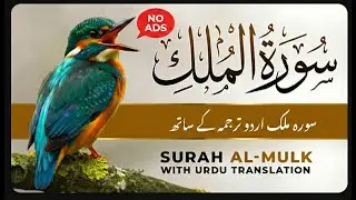 The Protector in the Grave: Surah Al-Mulk Full | With Urdu Translation