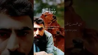 imrankhan k4x9l #qurane Pak ka tarjuma #short video#youtubeshorts for you