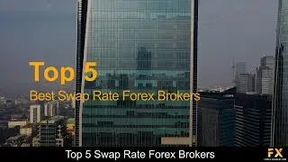 Best Swap Rate Forex Brokers📈