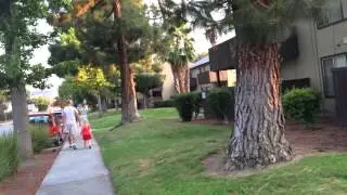 Города Фримонт и Сан-Хосе Калифорния Fremont / San Jose California