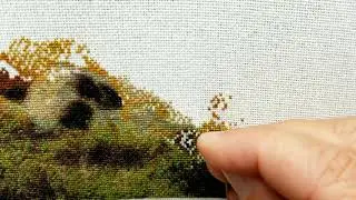 Stitch with Me - cross stitching video - HAED Lion and Cub