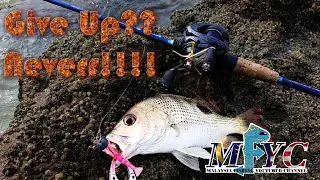 Golden Snapper on Shimano Casitas Landbase Casting -Malaysia Fishing Youtuber Channel-