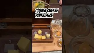 Gouda Cheese Experience🧀🇳🇱 #cheesetasting #goudacheese