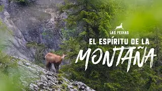 Las Feixas. El esp&iacute;ritu de la monta&ntilde;a.