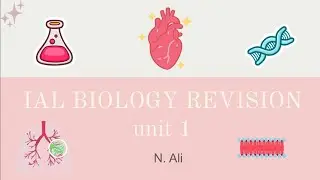 ALL unit 1 edexcel ial biology! (last minute revision notes and common past paper qs)