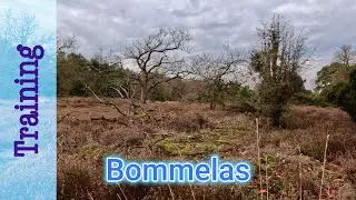 Langzame duurloop Bommelas