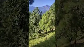 Okhaldhunga #bnd2 #travel #okhaldhunga #nature #foryou @BND2.0