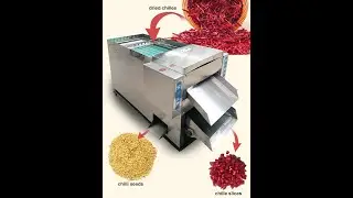 how to remove chili seeds, chili seeds remover,chili seeds removing machine